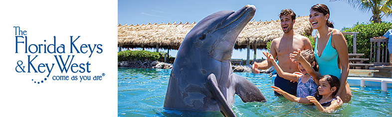 Swimming with Dolphins, Florida Keys