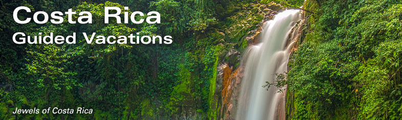 Costa Rica Escorted Tours - Waterfall
